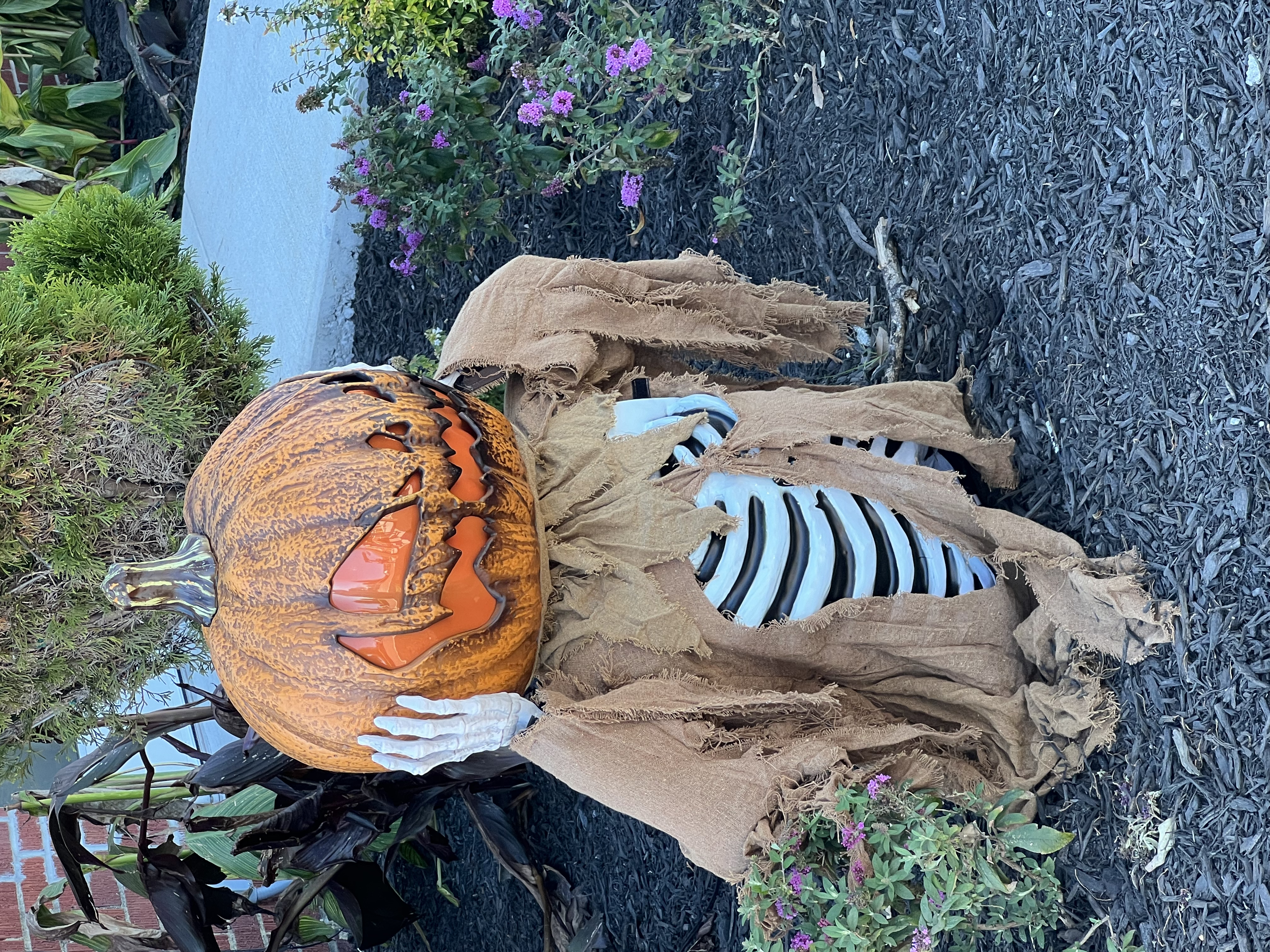 ./2024/10 - Myrtle Beach/IMG_3295.jpg